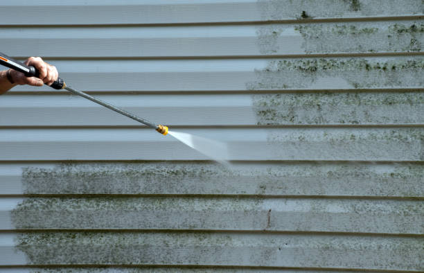Best Building Exterior Washing  in Woodland Park, CO